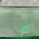 DSCN0252