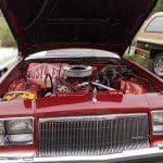 DSCN0254